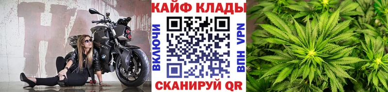 Названия наркотиков Снежногорск Alpha-PVP  Конопля  КОКАИН 
