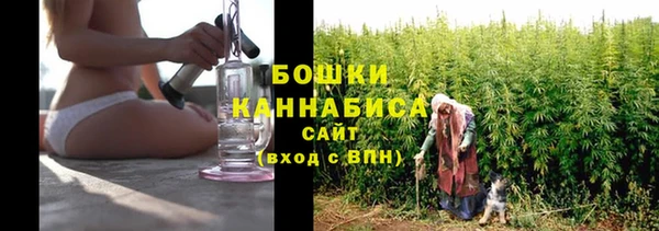 бошки Аркадак